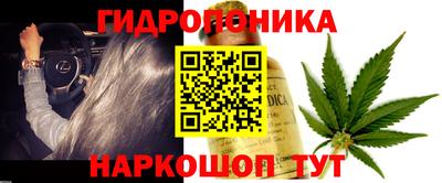 трава Тулун