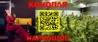 гашик Татарск