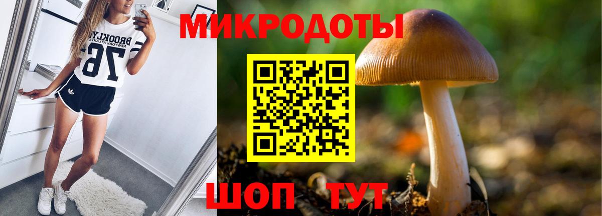 Галлюциногенные грибы Cubensis  Вход с VPN  Новый Уренгой 