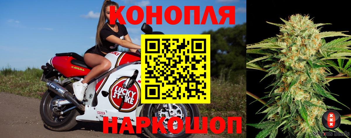 Бошки марихуана сатива Новый Уренгой